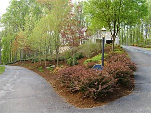 Natural landscaping on a large hill